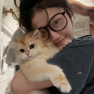 爱情领域2